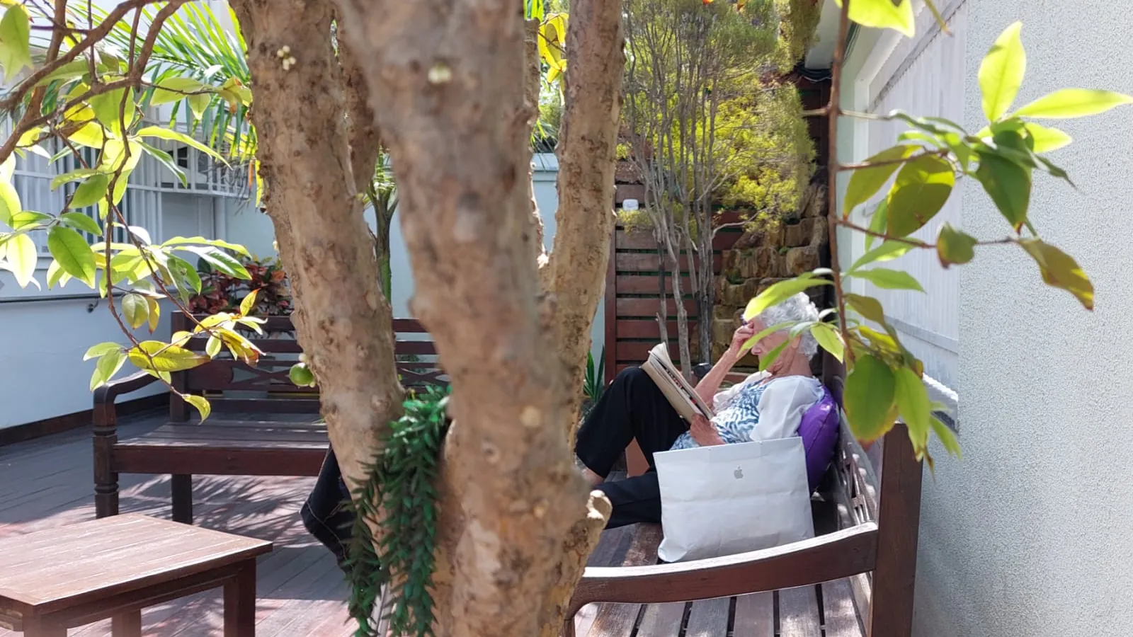 Moradora da LARES lendo um livro num banco de madeira, à sombra das árvores do jardim da casa